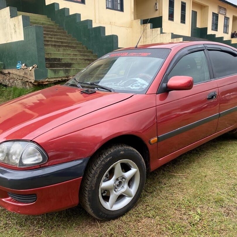 Product image thumbnail: Avensis leafback