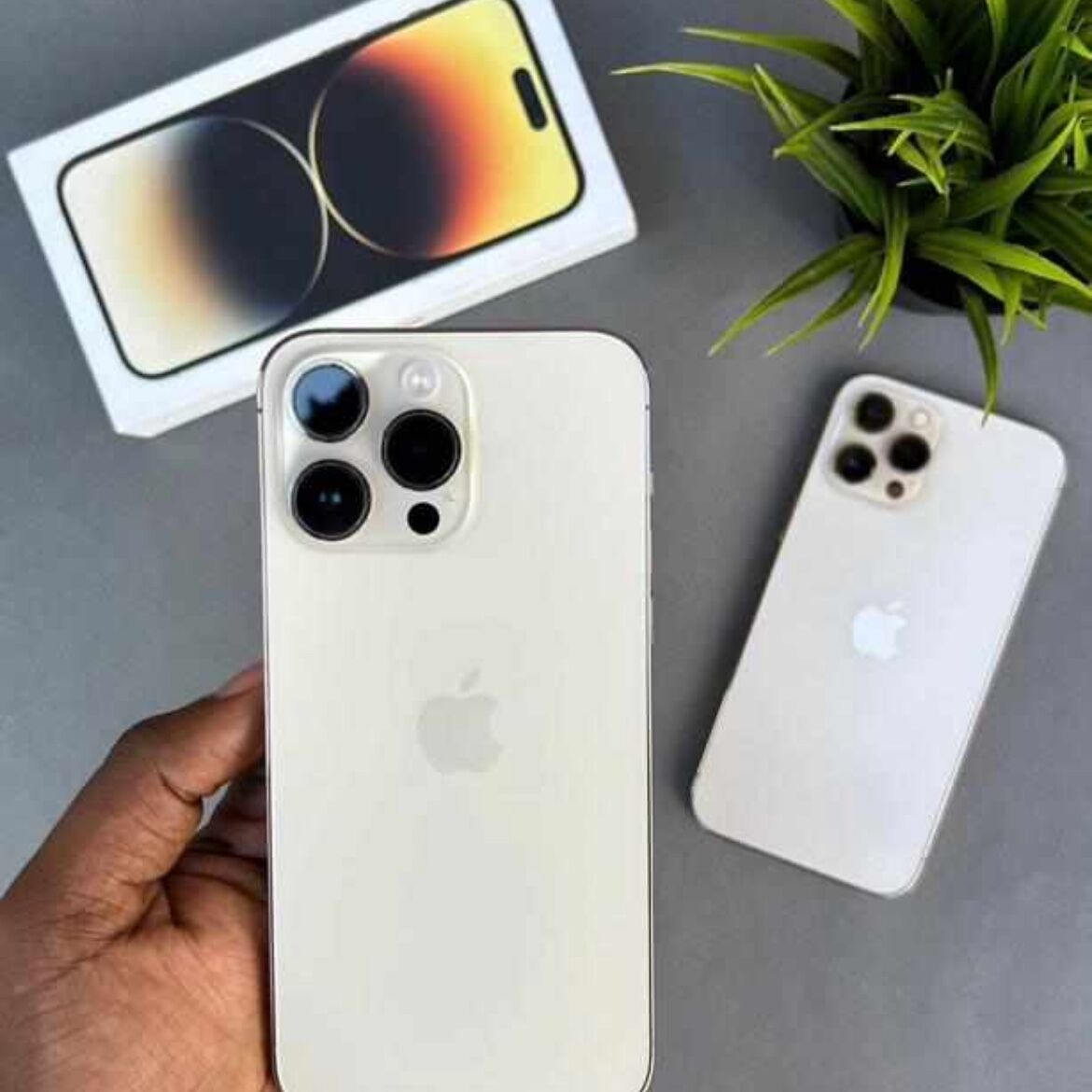 Image du produit : 14promax 128g