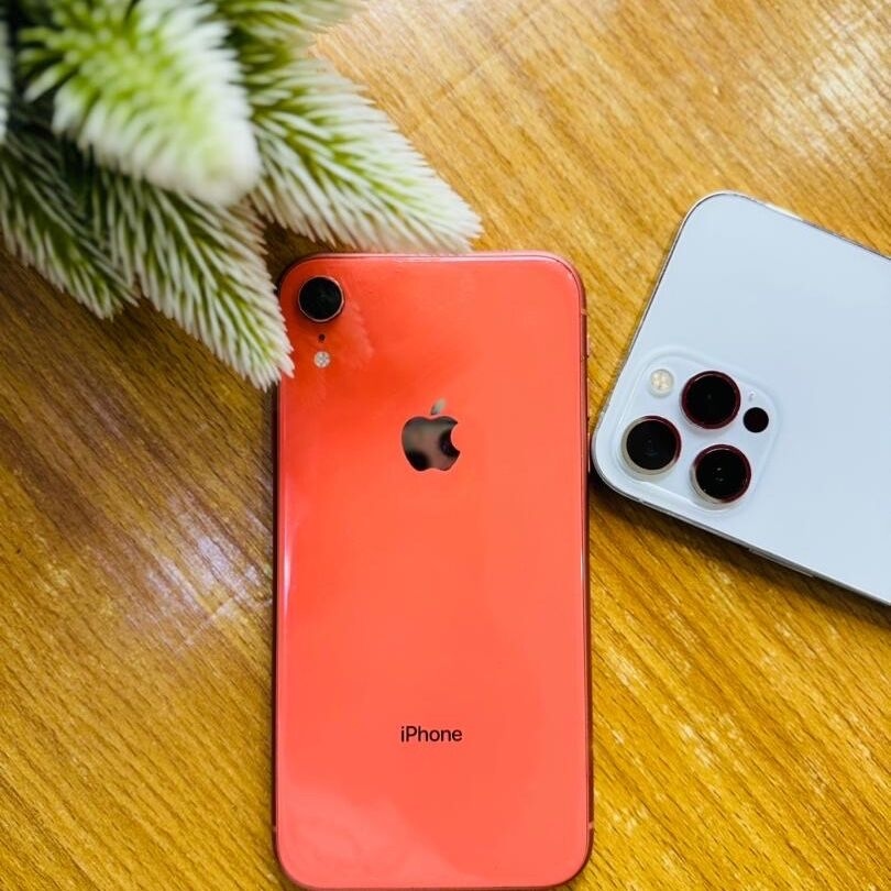 Image du produit : iPhone XR