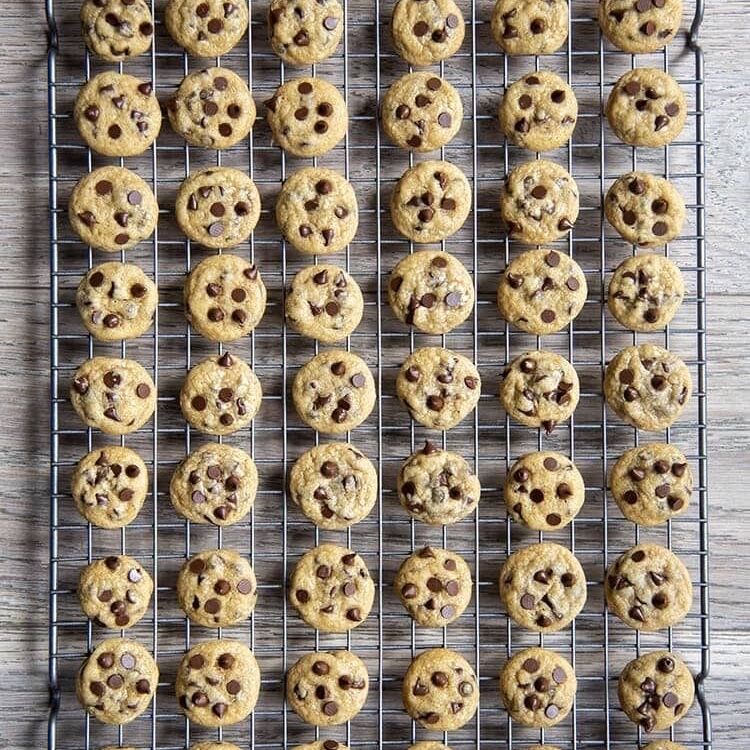 biscuits et cupcakes