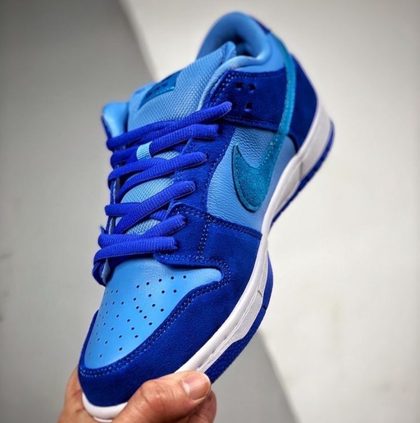 NIKE SB BLEU