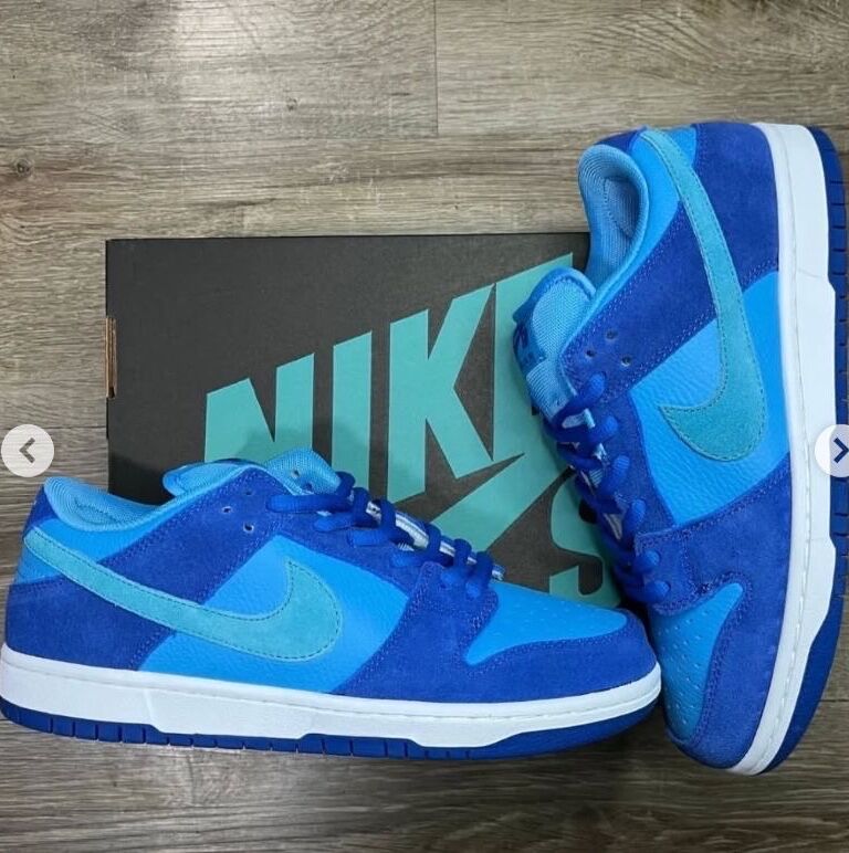 NIKE SB BLEU