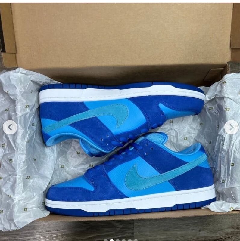 NIKE SB BLEU