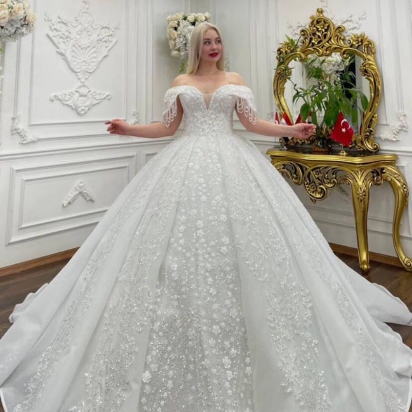 Princess wedding dress