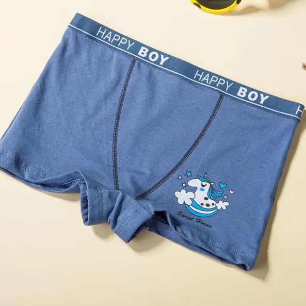 Boy's Boxer